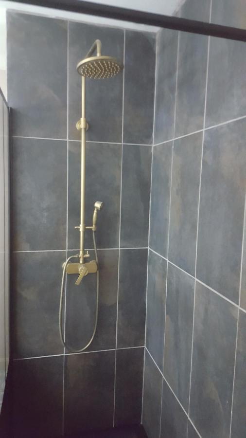 Appartement Spacieux Et Atypique Sedan Luaran gambar